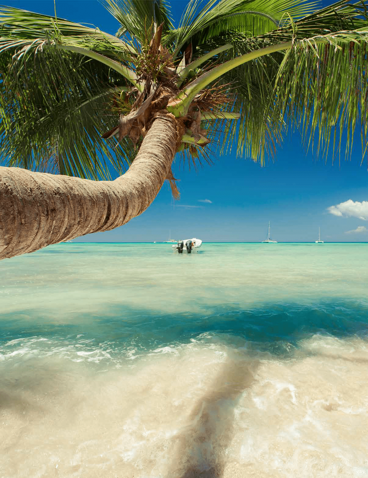 A palm tree is in the foreground of a beach scene, with a boat in the water and a person on it. AI generated content