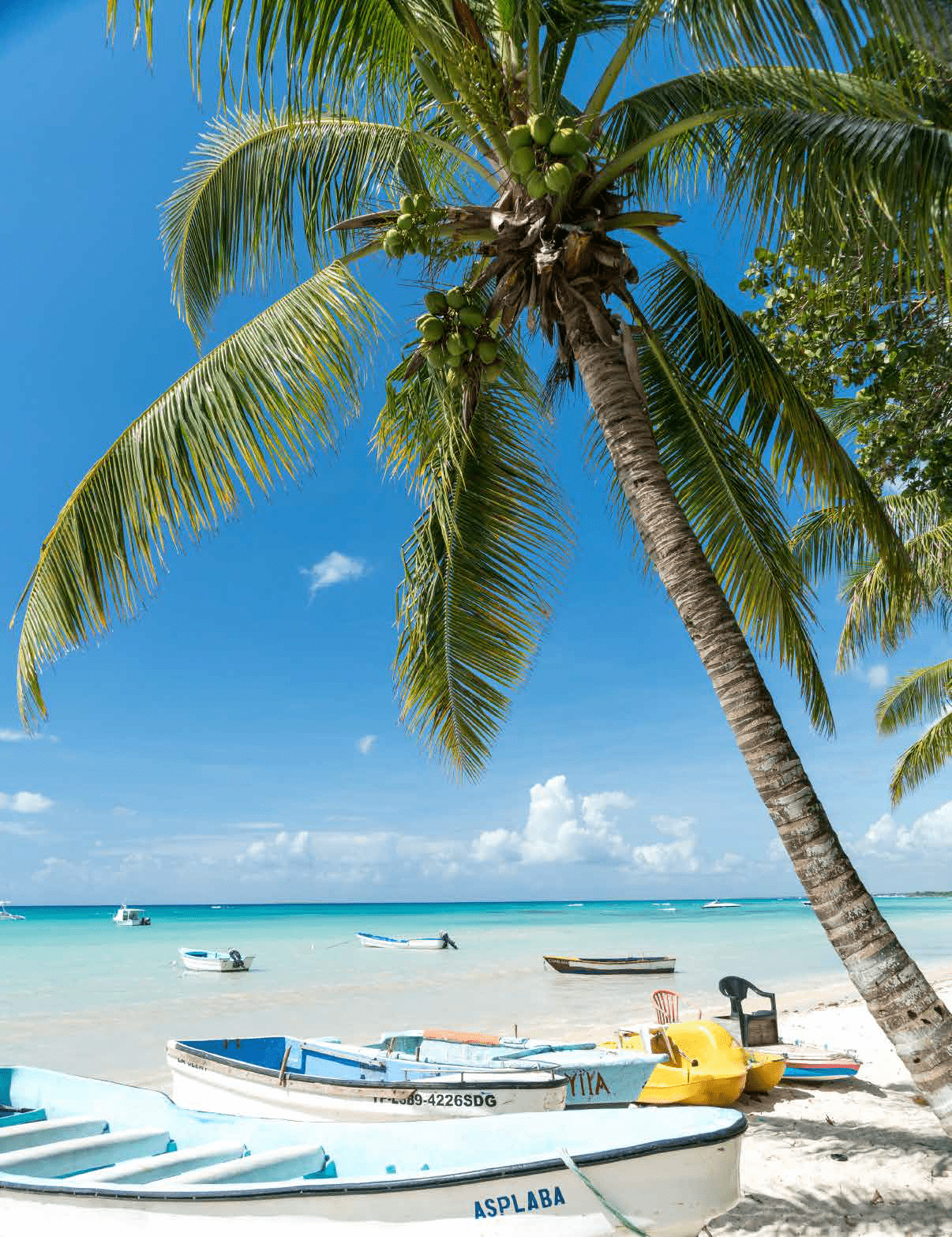 A palm tree is next to a boat on the beach. AI generated content