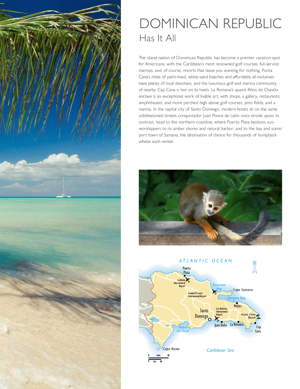 A map of the Dominican Republic is shown with a small monkey on a branch. AI generated content