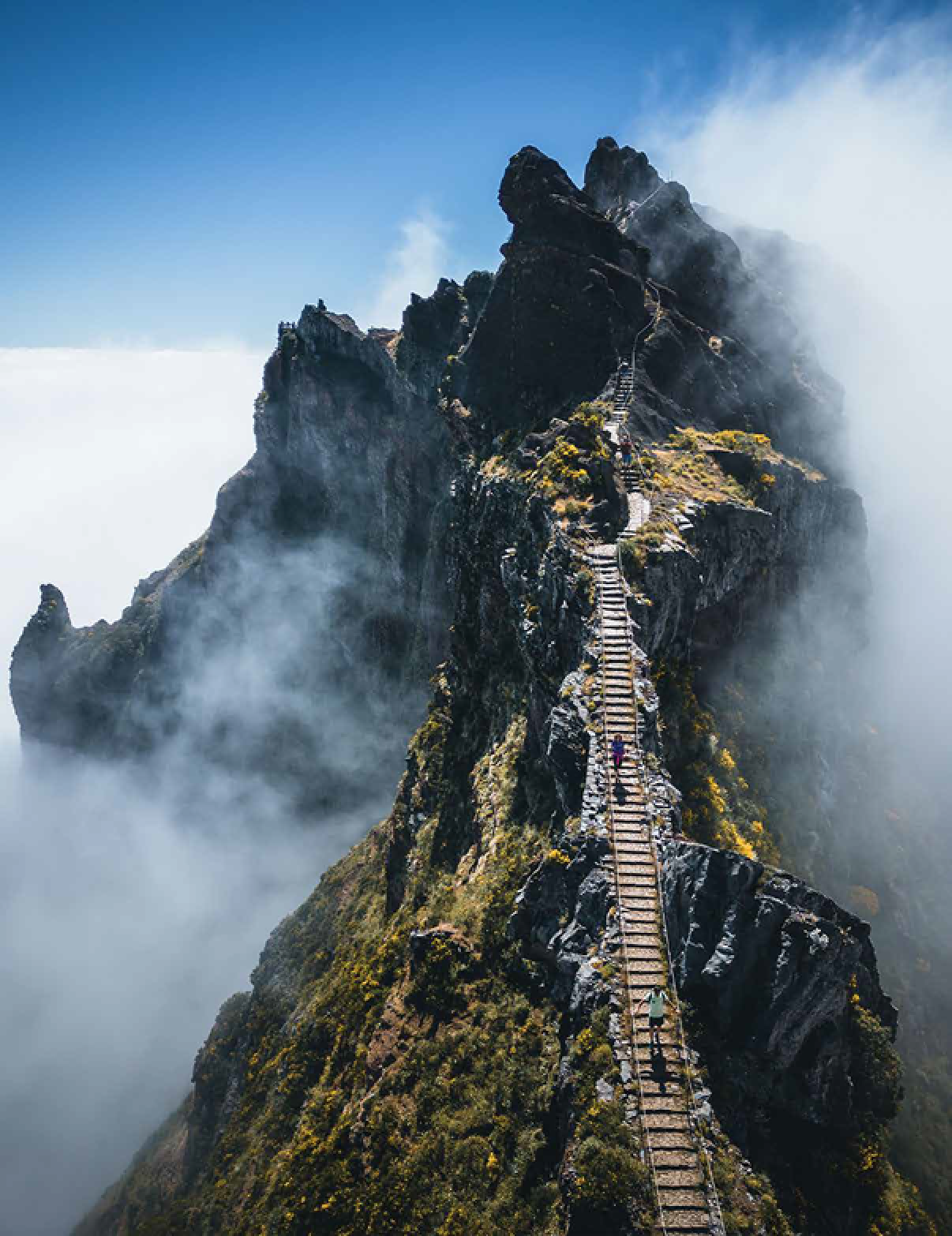 A narrow wooden staircase ascends steeply along a rugged mountain ridge surrounded by mist and clouds under a clear blue sky. Description generated by AI