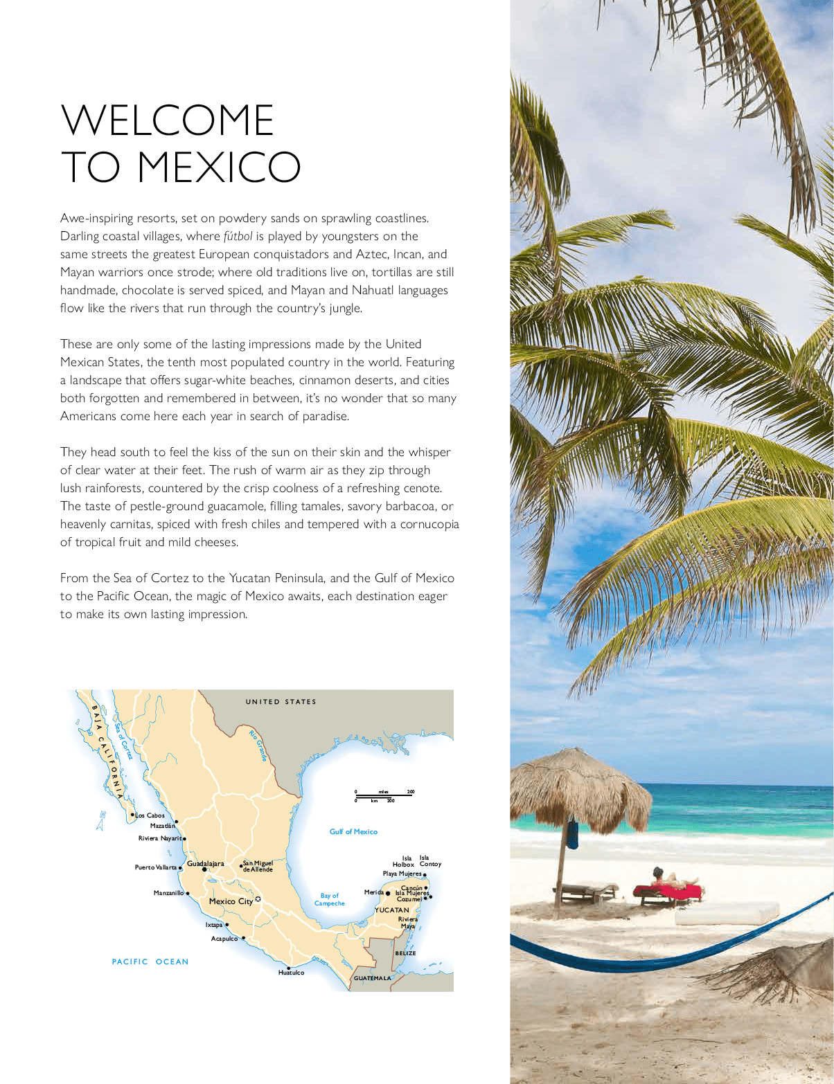 A brochure for a beach resort in Mexico features a map of the area, a photo of a palm tree, and text describing the resort's amenities and activities. AI generated content