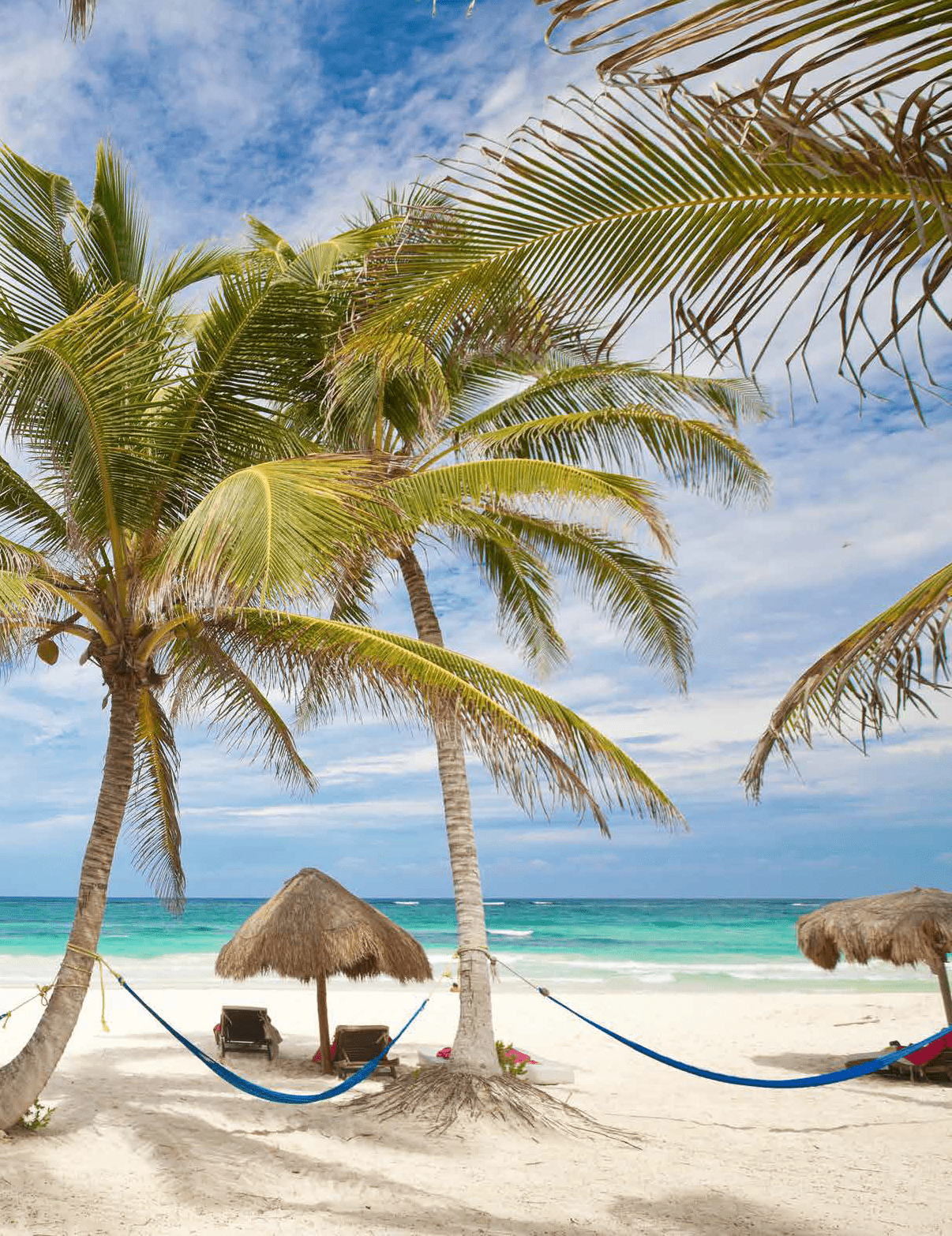 A beach scene with a hammock and palm trees. AI generated content