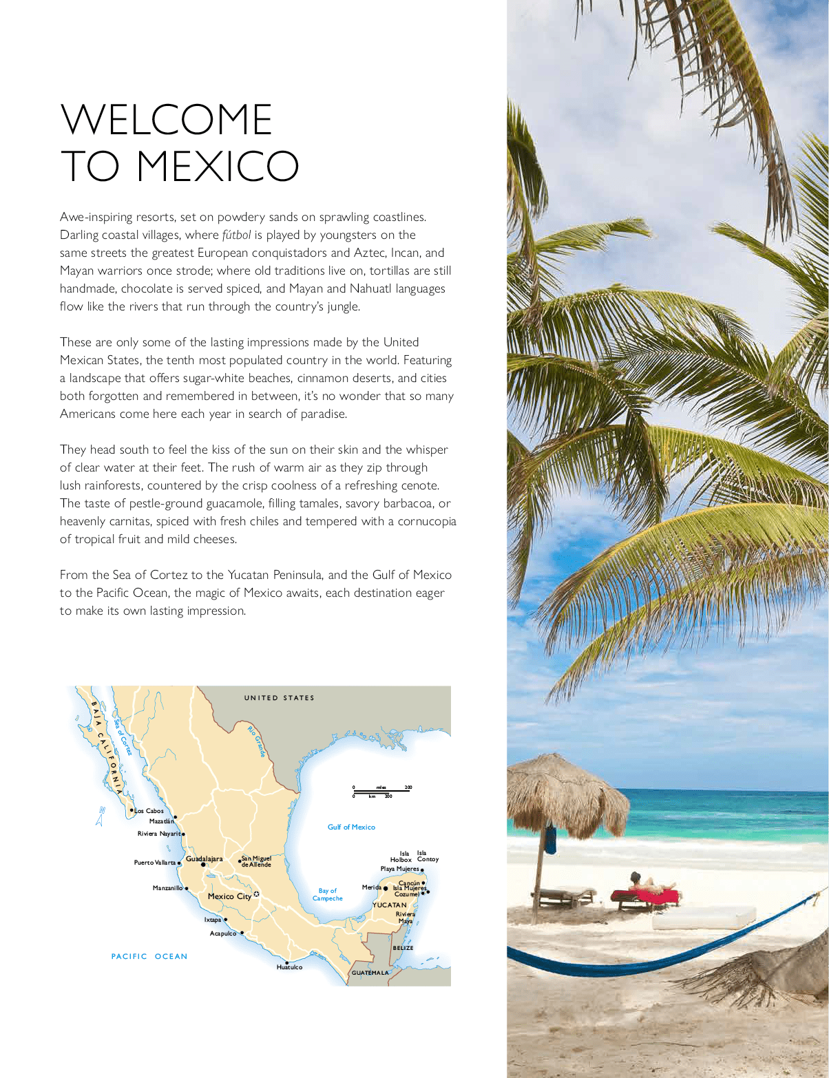 A brochure for a beach resort in Mexico, with a map and a picture of a palm tree. AI generated content