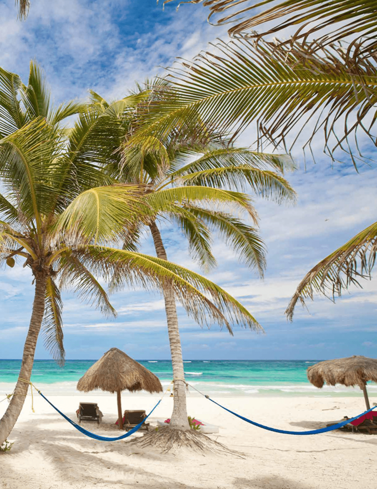 A beach scene with palm trees, a hammock, and a few umbrellas. AI generated content