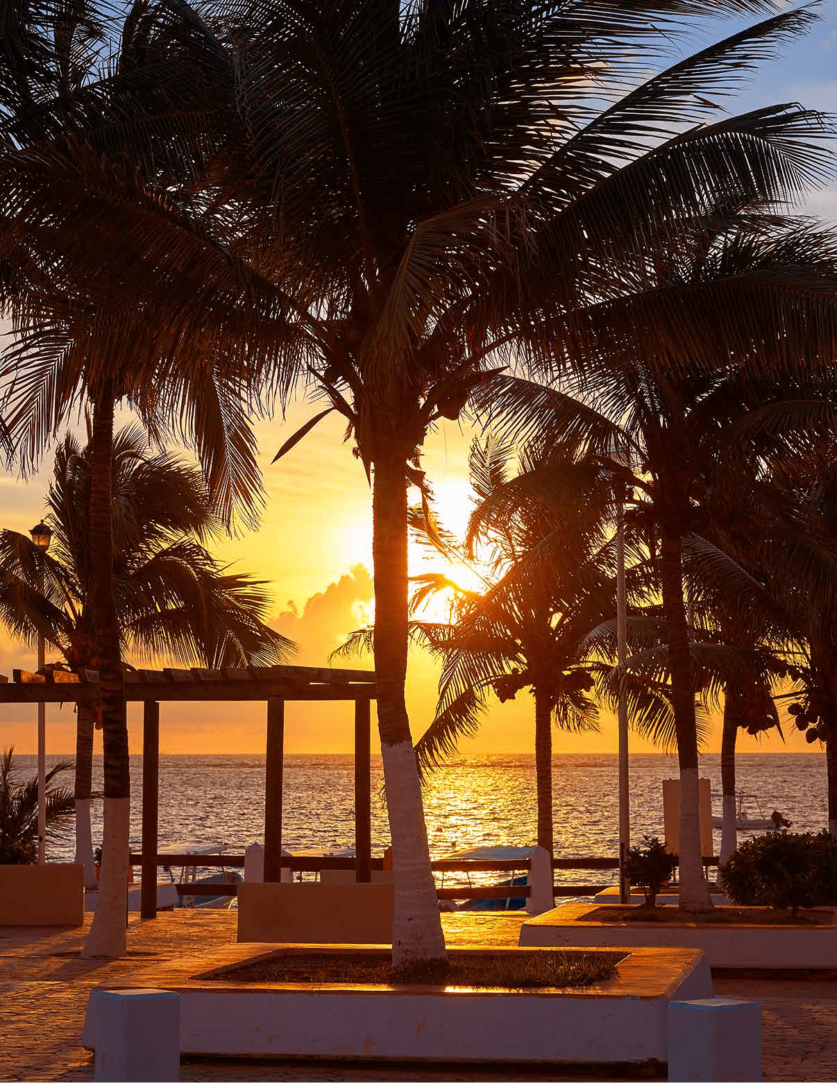 A palm tree is in front of a beautiful sunset. AI generated content