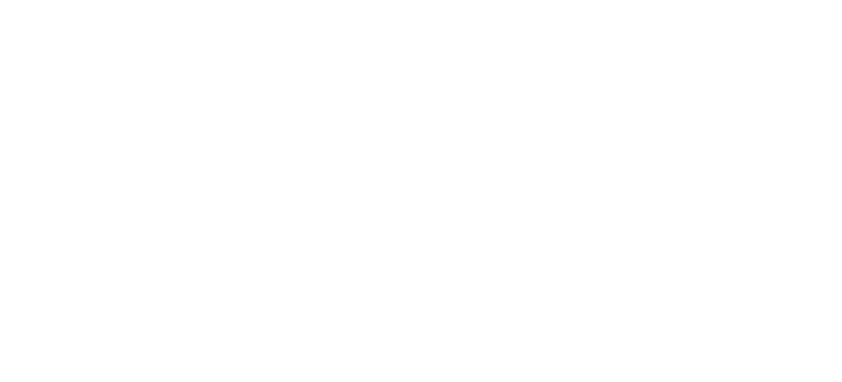 Travel Impressions